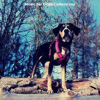 Amazing Walking the Dog - Music for Dogs Collections