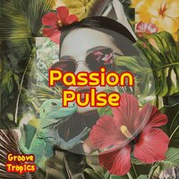 Passion Pulse - Groove Tropics