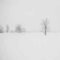 Holiday Hugs Ballad - Christmas Carols For Children & Christmas Eve