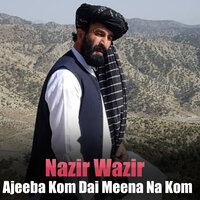 De Janan Ghama - Nazir Wazir