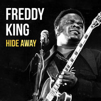 You've Got to Love Her With a Feeling - Freddie  King