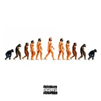 FIM - Vitello & m0sca