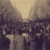 Successful Moods for Whiskey Bars - Harlem Jazz Guitar Quartet