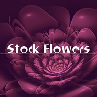 With a big - Enix & Livio Polini & Kosmos & Pippo Gallina