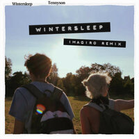 Wintersleep - Tennyson & Imagiro