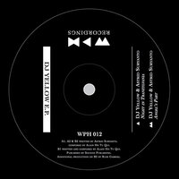 Night in Tranzylvania feat. Astrid Suryanto - DJ Yellow & Astrid Suryanto & Russ Gabriel