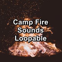 Fire Place Sounds in the Forest For Adults and Babies - Ocean Wave Sounds & Ocean Waves for Deep Sleep & Piano and Ocean Waves
