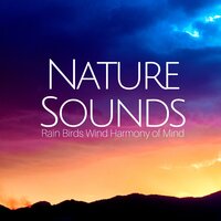 Harmony - Aromatherapy Fragrance & Spa & Spa & Spa & Spa & Aromatherapy Fragrance