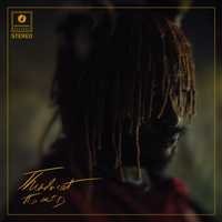 It Is What It Is - Thundercat & Pedro Martins