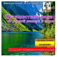 Тропический водопад и звук тропическом лесу: звуки природы - Amadeus