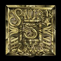 PARÁSITOS - Achece & Esnortcor