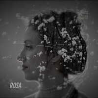 Rosa, mraz - Mary May