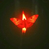 Private Select - MortisRecords