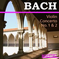 Violin Concerto No 2 In E Major, BWV 1042, Allegro - Johann Sebastian Bach & Zina Schiff