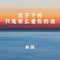 放不下的只是那么爱你的我 - 田园