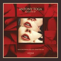 Discomania - Antony Toga