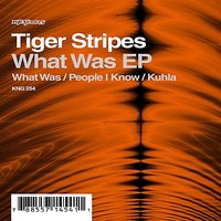 What Was - Tiger Stripes