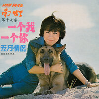 射雕英雄傳 - 南虹