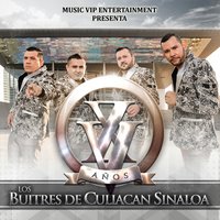 Ya Me Vi - Los Buitres De Culiacán Sinaloa