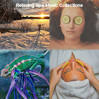 Joyful Ambience for Steam Baths - Relaxing Spa Music Collections