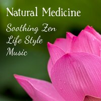 Mind Power - Meditation Weekend