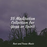 Symphony of Sleep - Relaxation Sleep Meditation & Buddhist Meditation Music Set & Academia de Música con Sonidos de la Naturaleza