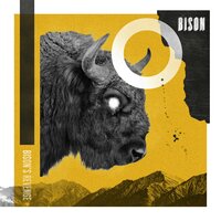 R&B - Bison & III