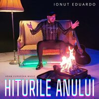 Am Vrut Sa Plec Sa Uit de Tine - Ionut Eduardo