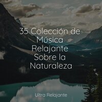 Descanso Real - Musica Para Meditar y Relajarse & Meditacion & meditación Interna