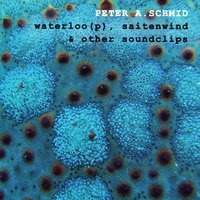 Alpine Harmolodics - Peter A.Schmid