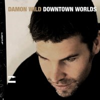 Traveller - Damon Wild