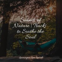 Transcending Dreams - Meditacao Clube & Pure Serenity Spa Music & Massage Collective Garden & Zen Relaxation Meditation & Sonidos de la Naturaleza Relax