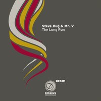 The Long Run - Steve Bug & Mr. V