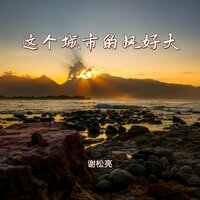 这个城市的风好大 - 谢松亮 & 謝松亮