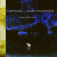 Grooving In The Dark - Chathura