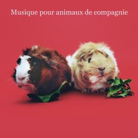 A Path to Happiness - Musique pour Chiens & Musique pour Animaux de Compagnie & Musique Relaxante pour Chiens