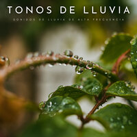 Música Para Dormir Plácidamente - Sonidos de lluvia y ruido de fondo & Lluvia para un sueño profundo & Vibraciones Tranquilas