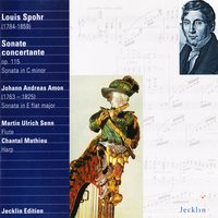 Sonate concertante for Flute and Harp in G Major, Op. 115: III. Rondo - Martin Ulrich Senn & Луи Шпор