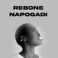 Napogadi - Rebone