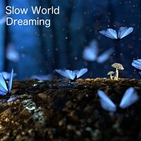 Hidden Glade - Slow World
