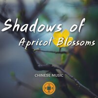 Qin - Chinese Playlists