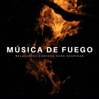 Sangre Y Fuego - Música de relajación profunda & Naturaleza Sonidos & Relajante Academia de Música Zen