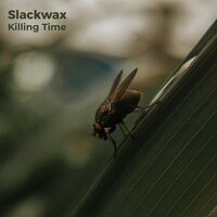 Killing Time - Slackwax