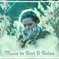 Calming Sounds - The Calming Sounds of Nature