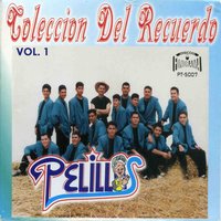 Ella Es Lo Más Hermoso - Banda Pelillos