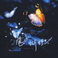 电子蝴蝶 - 一节