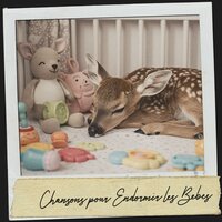 Leuchtende Serenade - Cat Music Therapy & Sleeping Music & Bébé Sommeil ASMR