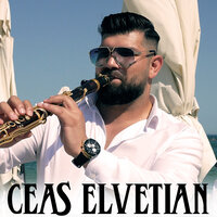 Ceas Elvetian - Sedan Video & Florin Salam