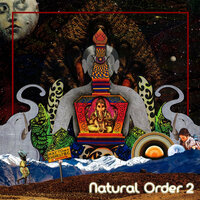 Hiking Trails Are Open - KOALA