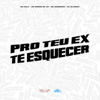 Pro Teu Ex Tu Esquecer - MC MILA & MC Menor Da VZ & Mc Magrinho & DJ ELHONAY